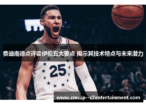 费迪南德点评霍伊伦五大要点 揭示其技术特点与未来潜力