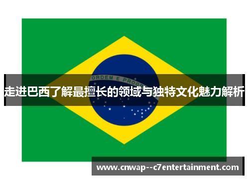 走进巴西了解最擅长的领域与独特文化魅力解析