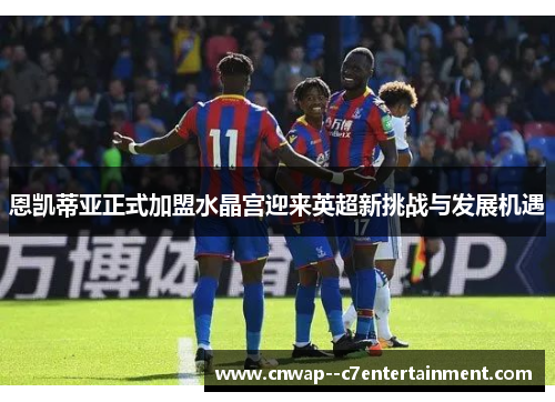 恩凯蒂亚正式加盟水晶宫迎来英超新挑战与发展机遇