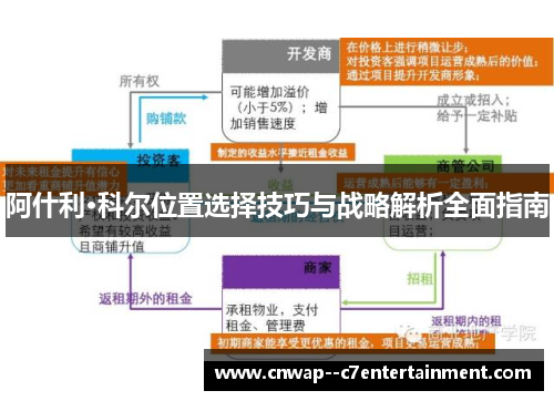 阿什利·科尔位置选择技巧与战略解析全面指南