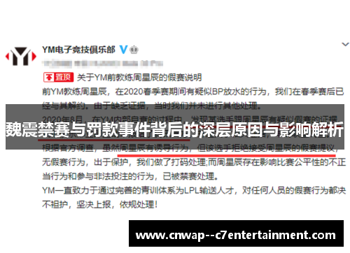 魏震禁赛与罚款事件背后的深层原因与影响解析
