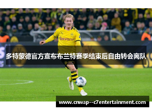多特蒙德官方宣布布兰特赛季结束后自由转会离队