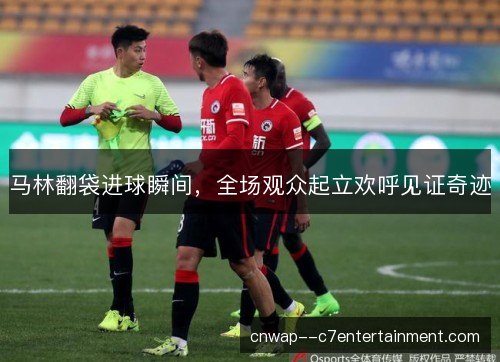 马林翻袋进球瞬间,全场观众起立欢呼见证奇迹 马林翻袋进球瞬间,全场观众起立欢呼见证奇迹